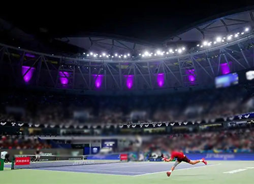 大冶市体育比赛